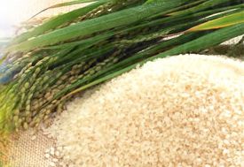 碾米機的注意理項